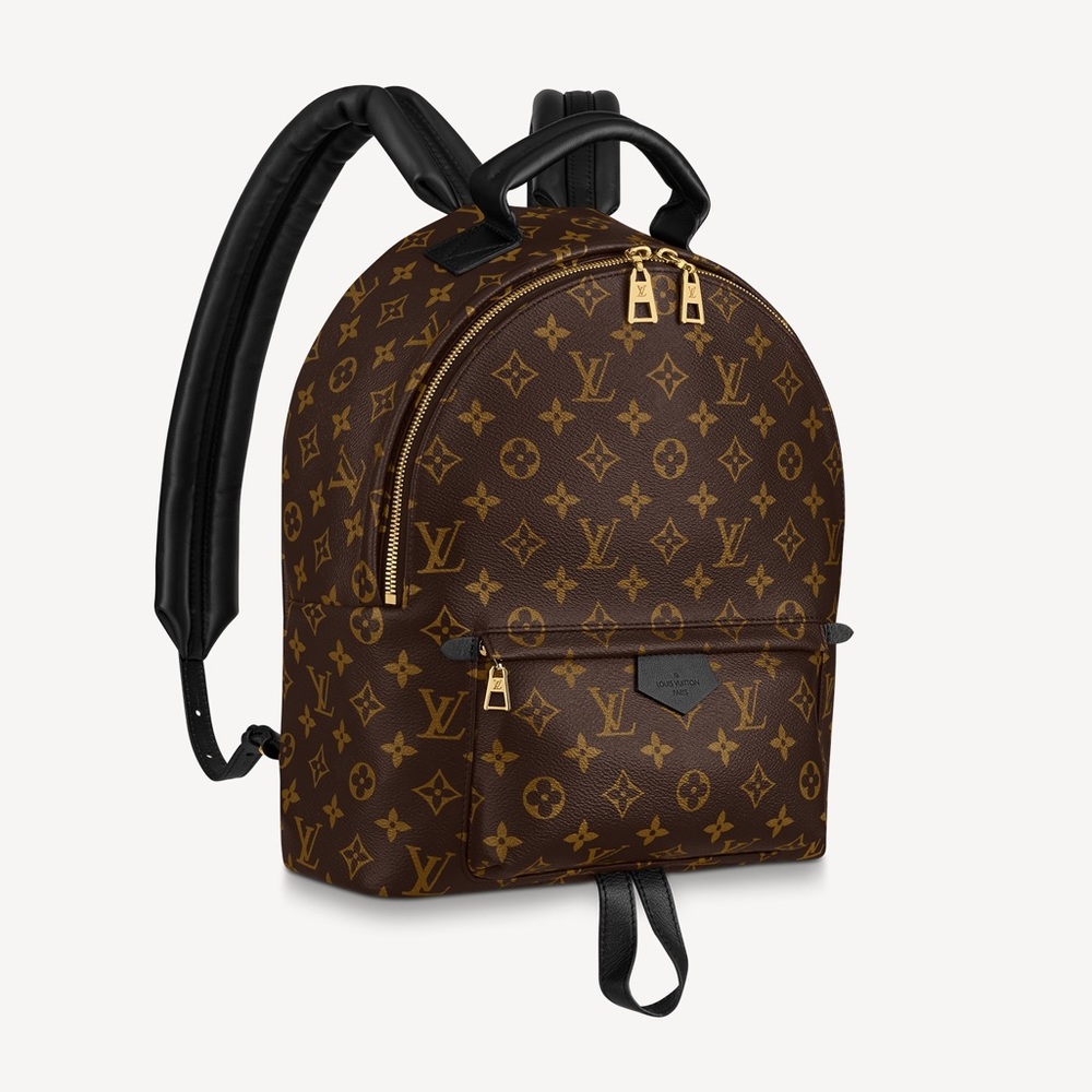 Louis Vuitton PALM SPRINGS MM Backpack - Picture 1 of 13